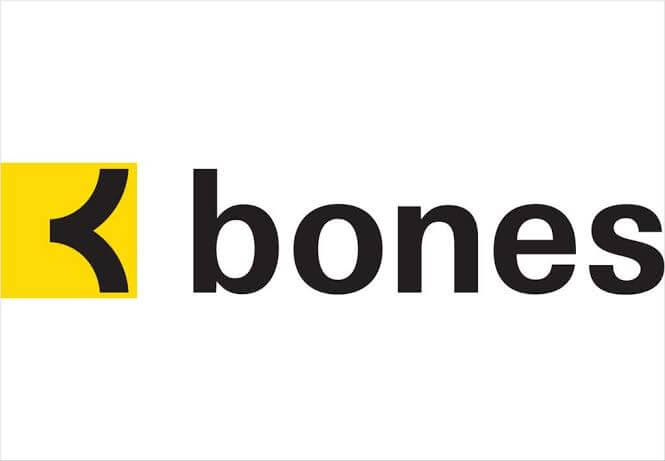 Estúdio Bones produzirá novo anime original com a diretora Hiroko Utsumi