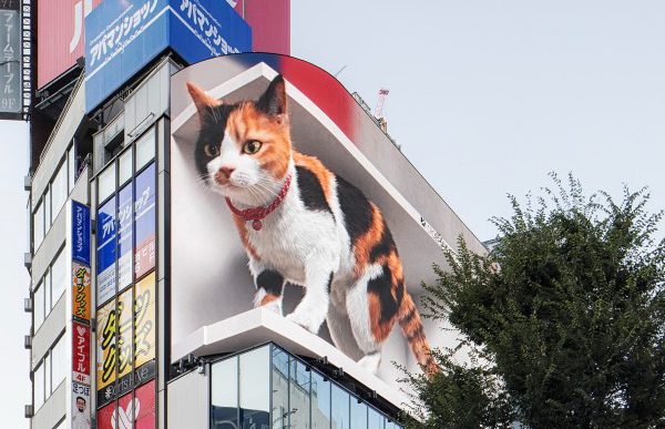 O gato gigante 3D do Japão
