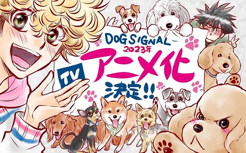 Dog Signal